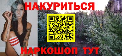 молекула духа Будённовск
