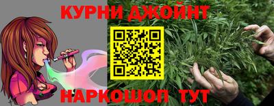 молекула духа Будённовск