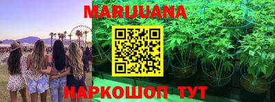 прущие грибы Бугуруслан