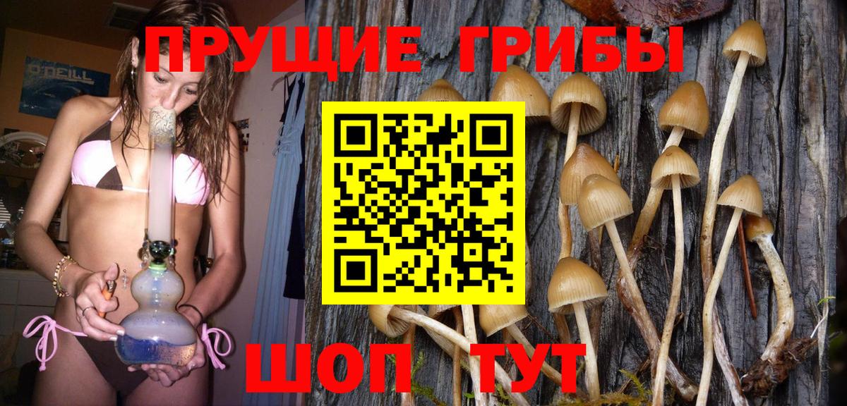 Галлюциногенные грибы MAGIC MUSHROOMS  Вход с VPN  Печора  Псилоцибиновые грибы Psilocybe 