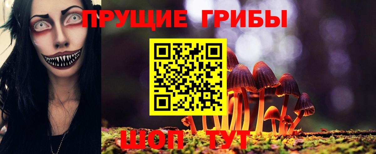 Меф Печора