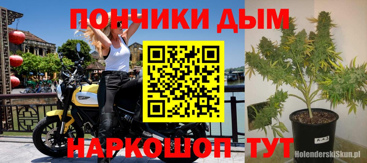 Бошки марихуана гибрид Печора